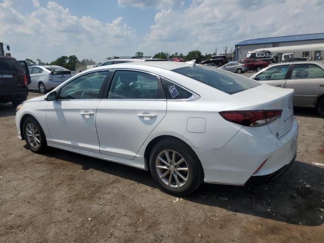 2019 HYUNDAI SONATA SE - 5NPE24AF5KH800860