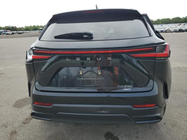 2024 LEXUS NX 250 BAS 2T2ADCEZ1RC004168