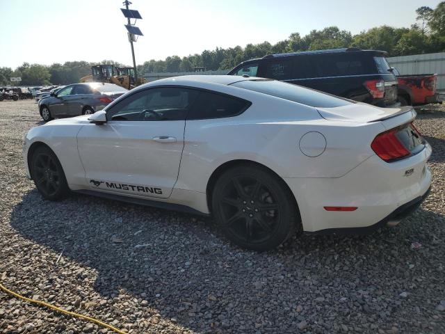 2019 FORD MUSTANG - 1FA6P8TH1K5141449