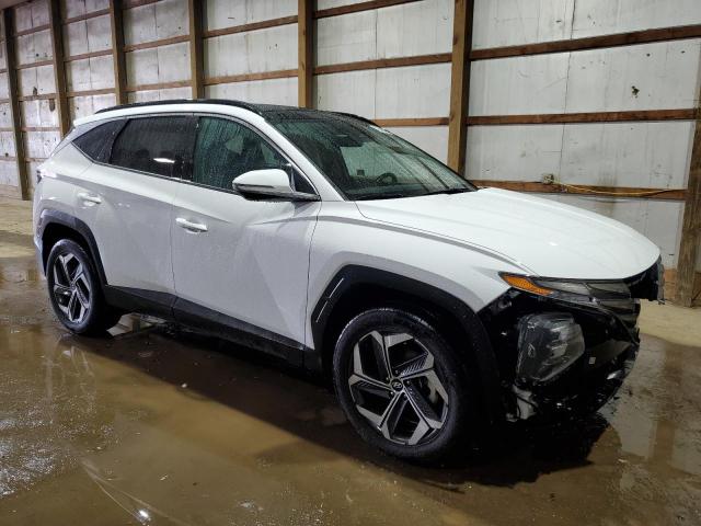 Vin: 5nmjecde7rh345374, lot: 60270125, hyundai tucson limited 20244
