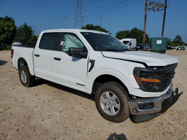 Vin: 1ftfw1fd0rfb99800, lot: 53274405, ford f150 xl 20244