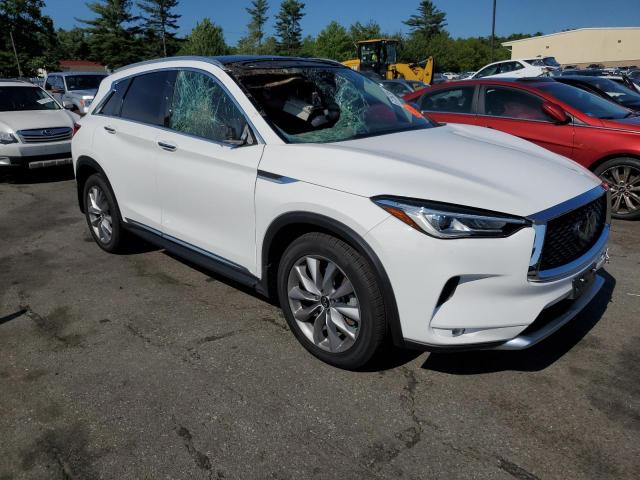 2021 INFINITI QX50 LUXE 3PCAJ5BB5MF119036