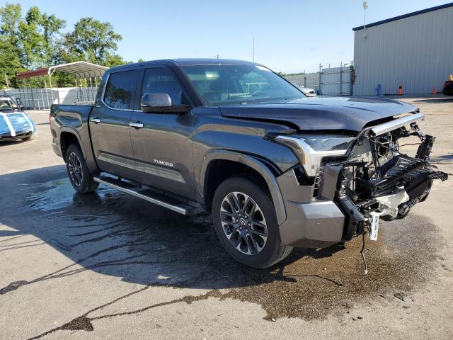 2025 TOYOTA TUNDRA CRE - 5TFJA5DB2SX276779