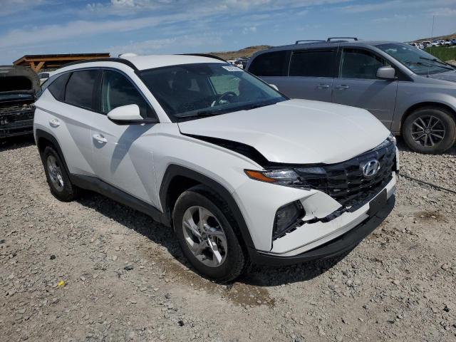 2024 HYUNDAI TUCSON SEL - 5NMJBCDE9RH308416