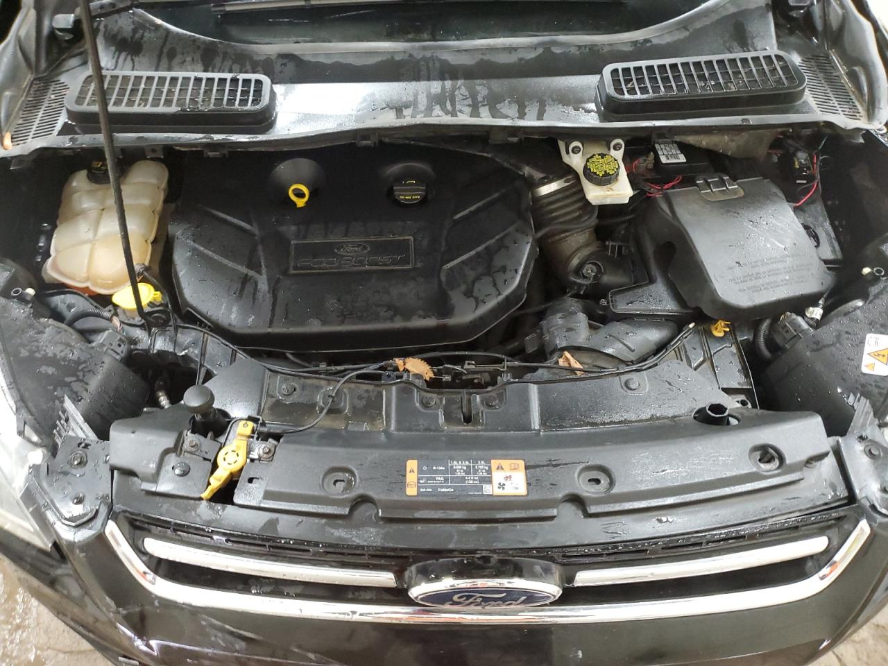 FORD ESCAPE TITANIUM