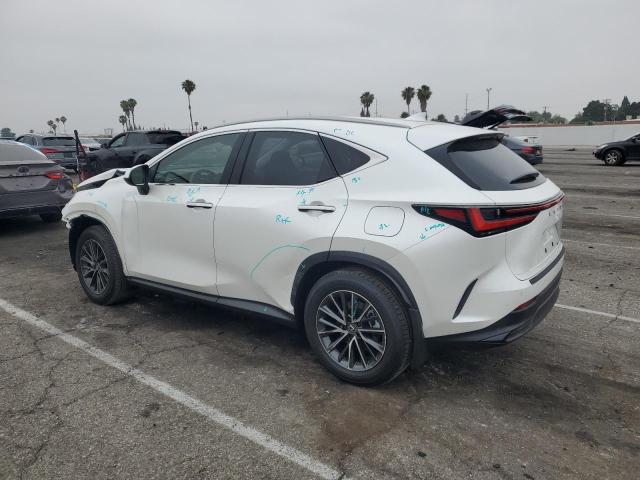 2025 LEXUS NX 250 PRE JTJGDCAZ6S2025006