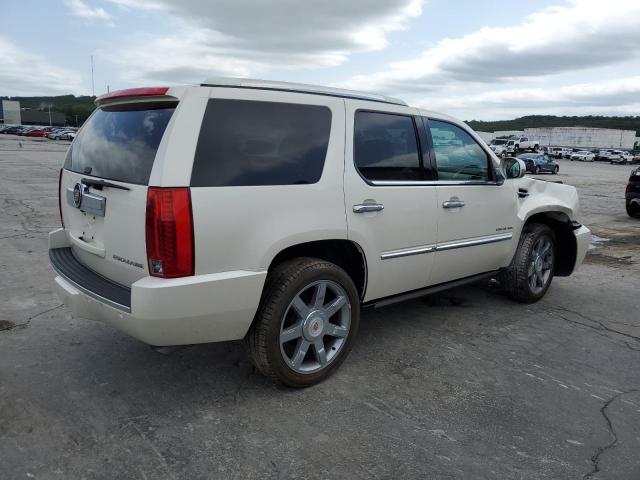 2010 CADILLAC ESCALADE P - 1GYUKCEF4AR235776
