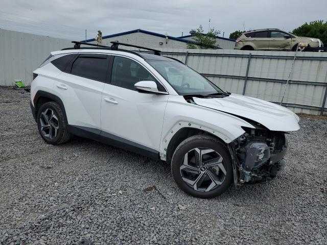 2024 HYUNDAI TUCSON LIM 5NMJECDE6RH370749