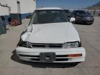Lot #3294354898 1993 HONDA ACCORD 10T