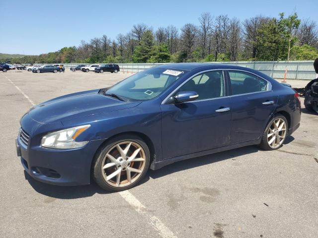 Vin: 1n4aa5ap1ac803464, lot: 59193065, nissan maxima s 2010 img_1