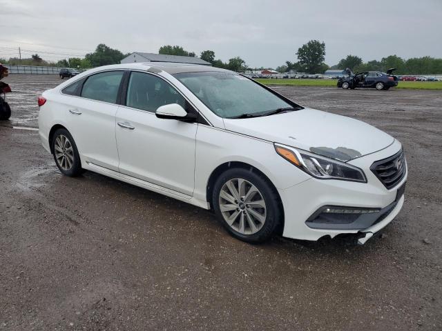 2016 HYUNDAI SONATA SPO - 5NPE34AF1GH392720