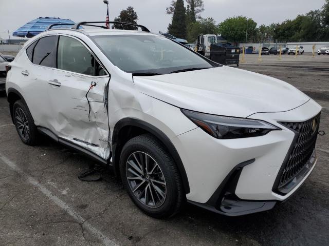 2023 LEXUS NX 250 JTJADCAZ5P5011769
