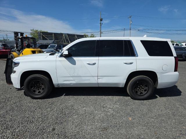 2020 CHEVROLET TAHOE POLI 1GNSKDECXLR228107