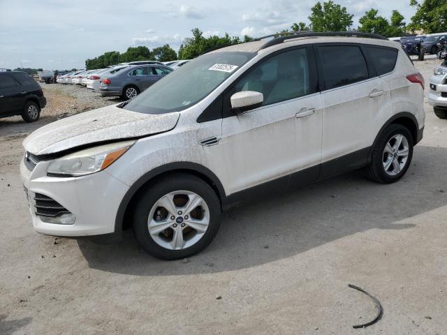 2014 FORD ESCAPE - 1FMCU0GX4EUB45820