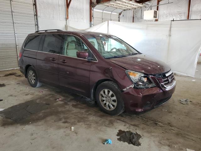 Vin: 5fnrl3h71ab017880, lot: 62094785, honda all models exl 20104