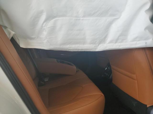 2019 TOYOTA AVALON XLE - 4T1BZ1FB3KU018321