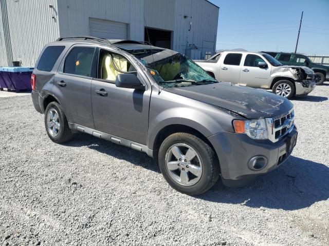 2010 FORD ESCAPE XLT - 1FMCU9DG8AKA87399