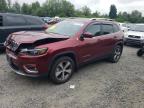 2019 JEEP CHEROKEE L - 1C4PJMDN8KD162334