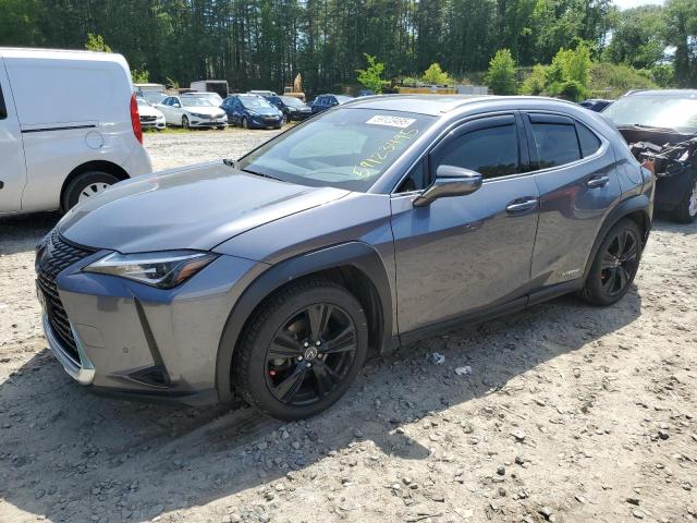 LEXUS UX 250H