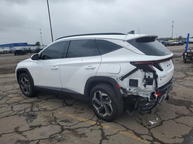 2023 HYUNDAI TUCSON LIM 5NMJECAE9PH233581