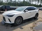 2025 LEXUS RX 350H BA - 2T2BBMCA4SC087274