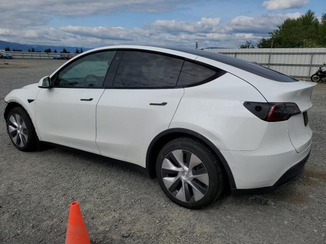 Vin: 5yjygdee4mf239617, lot: 61195835, tesla model y 20212