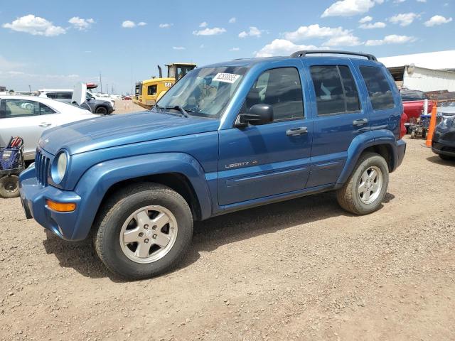 JEEP LIBERTY LI