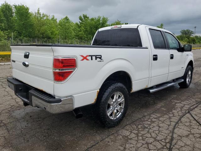 Vin: 1ftfw1et0dfd12615, lot: 61808075, ford f-150 supercrew 20133