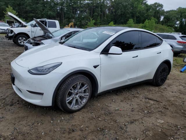 TESLA MODEL Y 2021 white  electric 5YJYGDEE6MF185379 photo #1