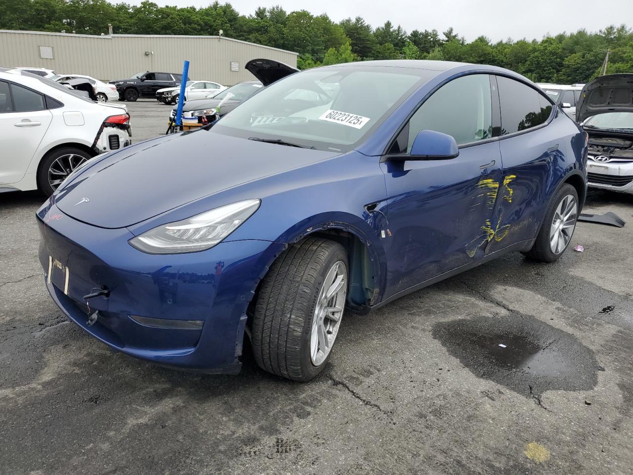 TESLA MODEL Y