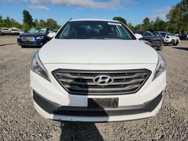 2016 HYUNDAI SONATA SPO 5NPE34AF7GH286854