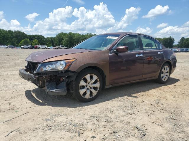 Vin: 5kbcp3f74ab014650, lot: 61257255, honda accord ex 2010 img_1