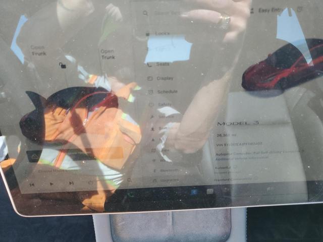 2023 TESLA MODEL 3 #3291610239