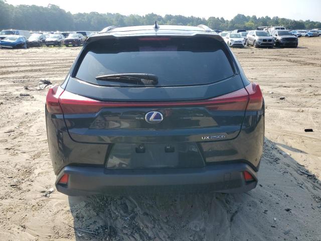 2019 LEXUS UX 250H JTHU9JBH3K2013895