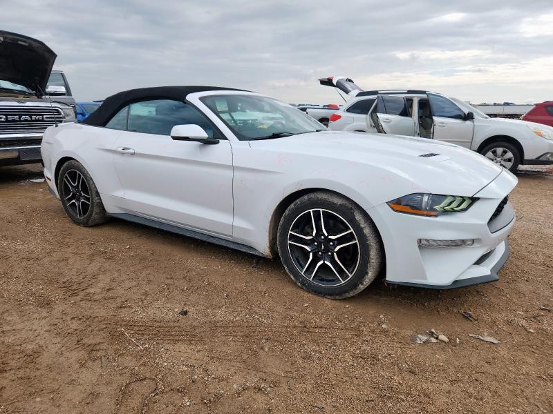 2019 FORD MUSTANG 1FATP8UH8K5131504