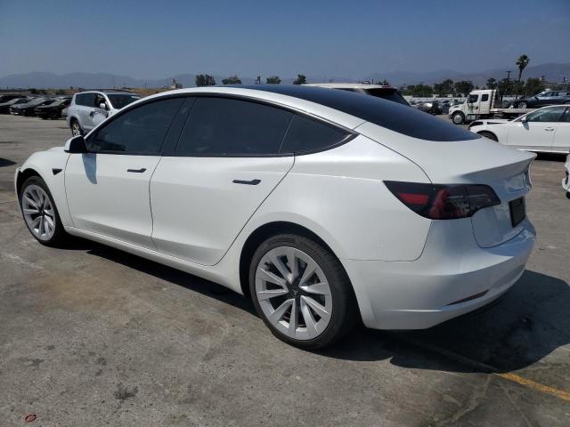 2023 TESLA MODEL 3 5YJ3E1EB0PF620714