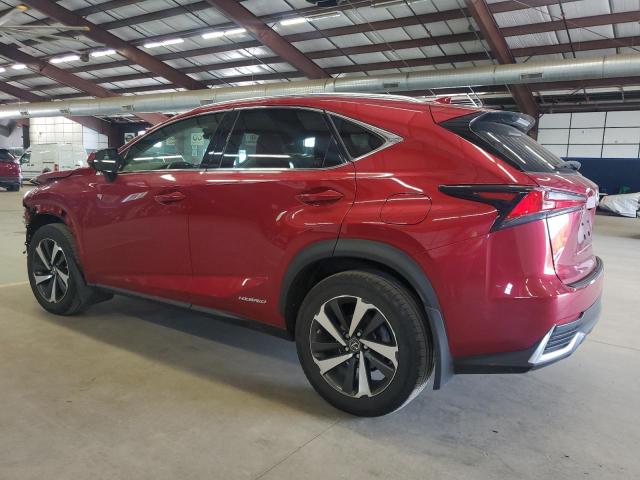 2020 LEXUS NX 300H - JTJGJRDZ2L5005228