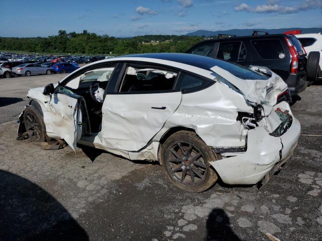 2023 TESLA MODEL 3 5YJ3E1EA5PF567354