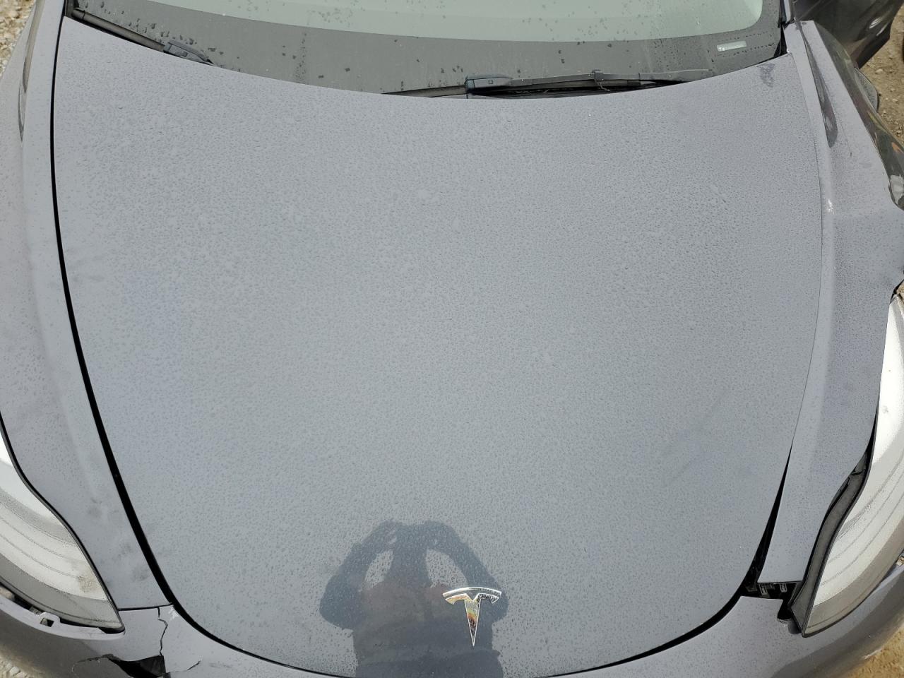 Lot #3316742401 2022 TESLA MODEL 3