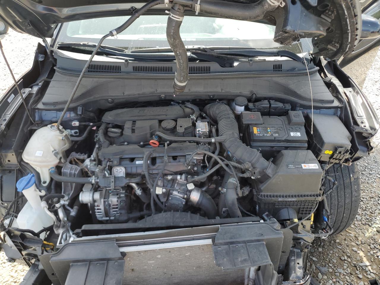 Lot #3312273772 2022 HYUNDAI KONA N LIN