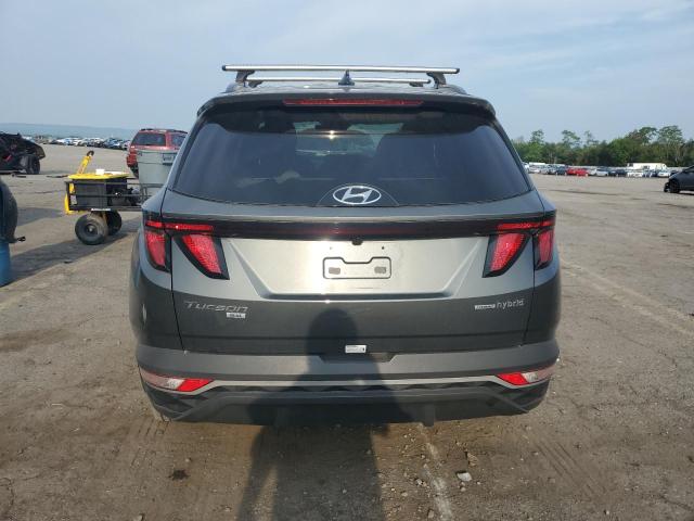 2024 HYUNDAI TUCSON BLU KM8JBCD18RU206932