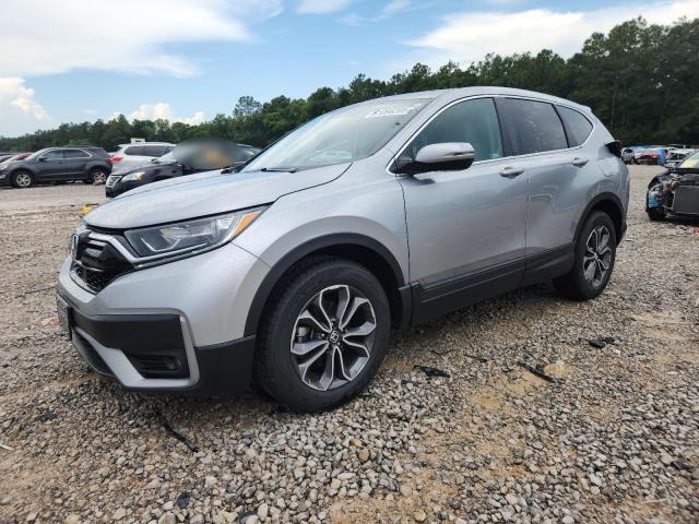 Vin: 5j6rw1h55nl001608, lot: 61096205, honda crv ex 2022 img_1