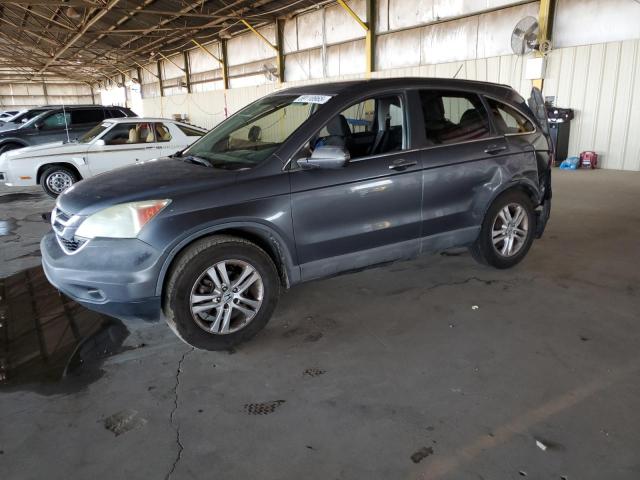 Vin: 5j6re3h78al009146, lot: 59118965, honda crv exl 2010 img_1