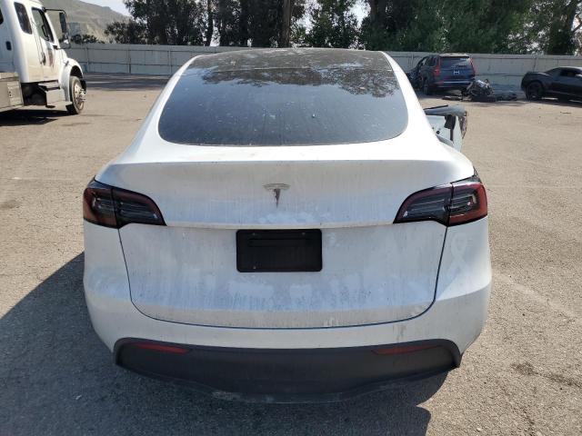 2024 TESLA MODEL Y 7SAYGDED4RF008413