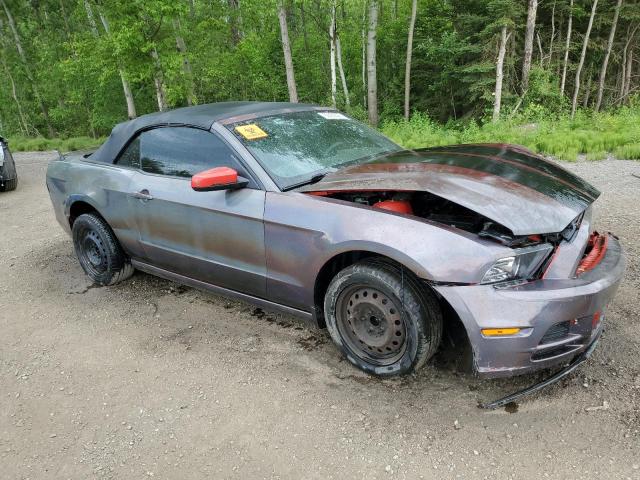 2013 FORD MUSTANG - 1ZVBP8EMXD5213980
