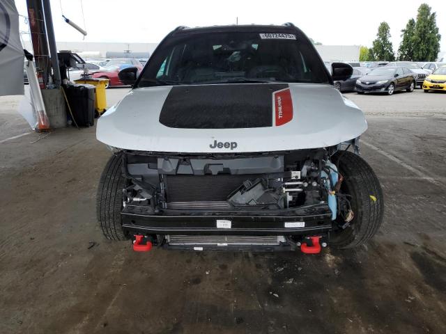 2023 JEEP COMPASS TR - 3C4NJDDN1PT503243