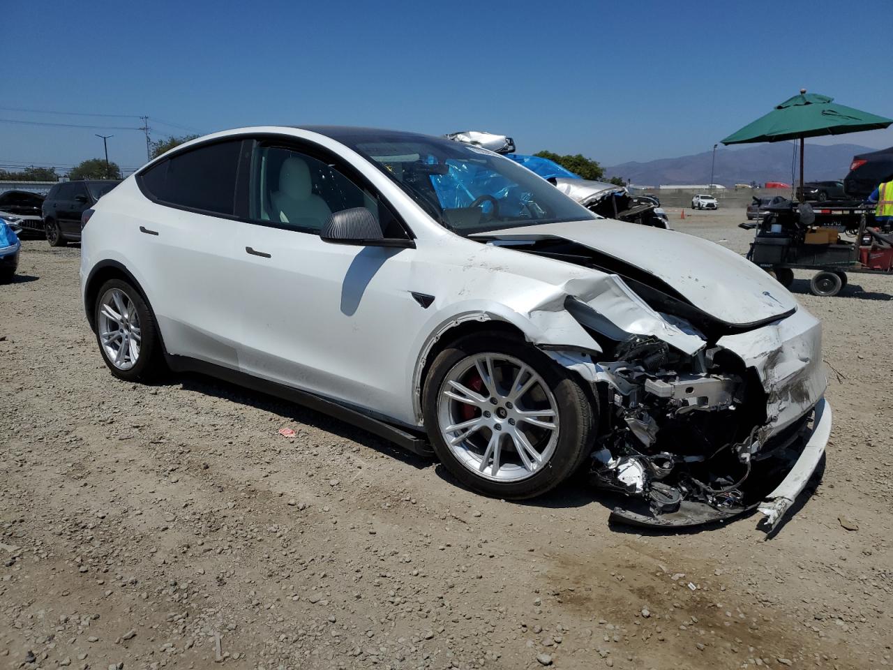 Lot #3309217617 2023 TESLA MODEL Y