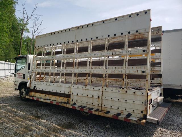 ISUZU NRR 2020 white  diesel JALE5W163L7305726 photo #3