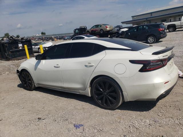 2023 NISSAN MAXIMA SR 1N4AA6EV3PC508695