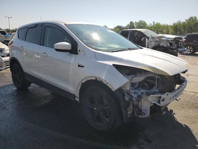 2015 FORD ESCAPE SE 1FMCU9GX4FUA97922